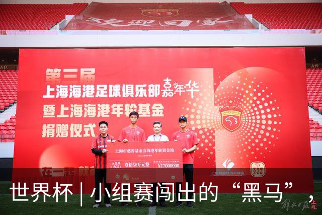 世界杯 | 小组赛闯出的“黑马”，还能“黑”多远
